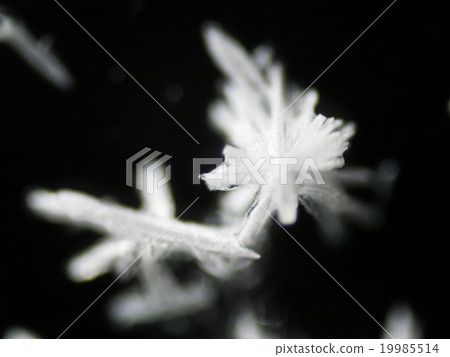 Crystals of sodium bicarbonate (sodium bicarbonate) 19985514