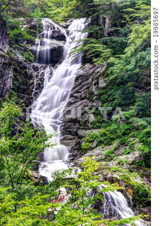 Shikaragawa Valley Kudan Falls 19985697