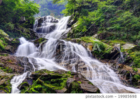 Shikaragawa Valley Kudan Falls 19985698