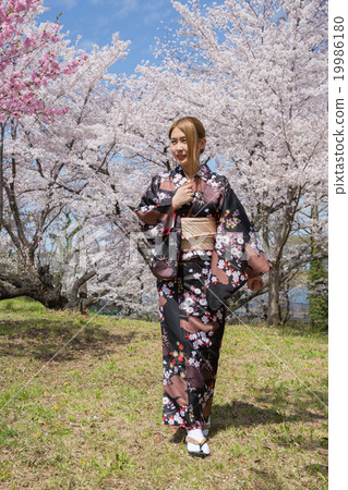 Kimono beautiful, under spring blue sky and cherry blossoms Kimono beautiful, under spring blue sky and cherry blossoms 19986180