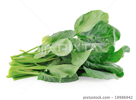 Chinese kale vegetable 19986942