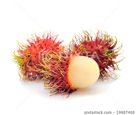 ambutan, asian fruit, on white background 19987488