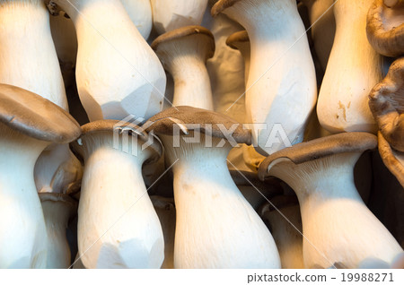 Peeled mushrooms among the greenery 19988271