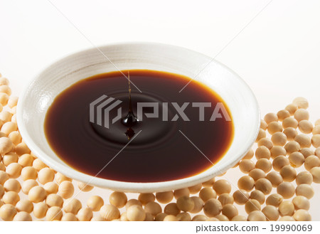 大豆和大豆 19990069