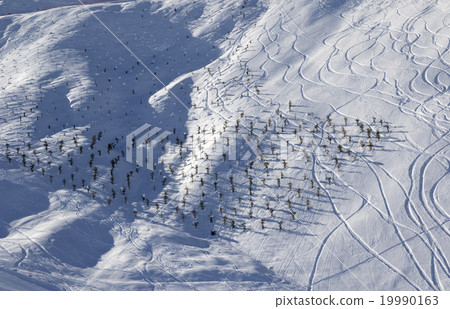 Off-piste slope at sun morning 19990163