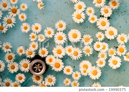 flower floating in water 19990375