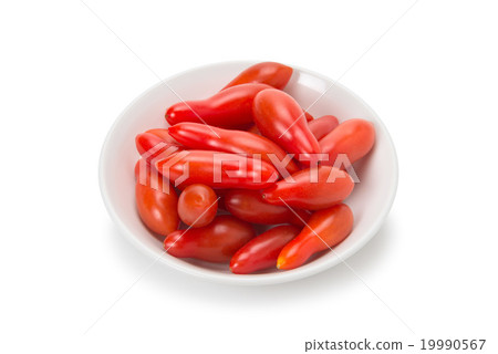 櫻桃番茄 19990567