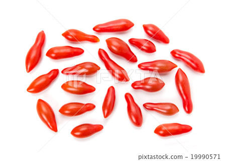 Cherry tomato 19990571