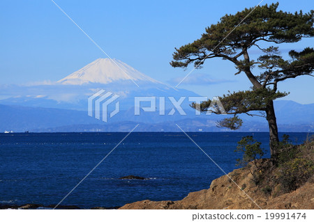 三浦半島的富士山景觀 19991474