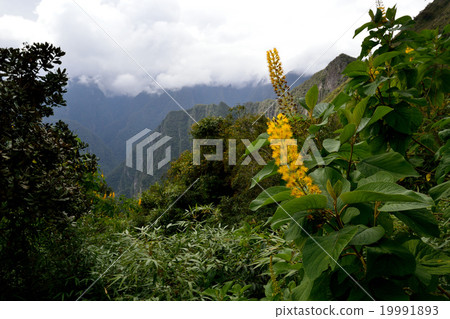 Machu Picchu ruins Inti punk Machu Picchu ruins Inti punk 19991893