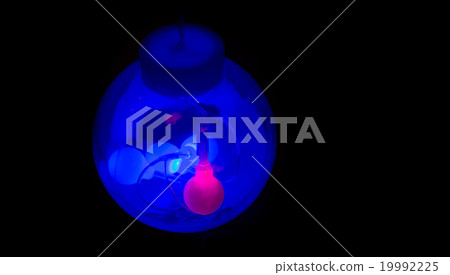 Light Bulbs 19992225