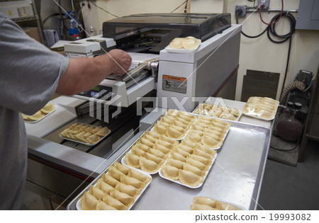 Packaging of dumplings production 19993082