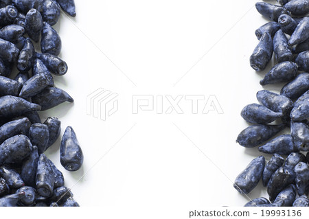 Honeysuckle blue berry fruits template 19993136