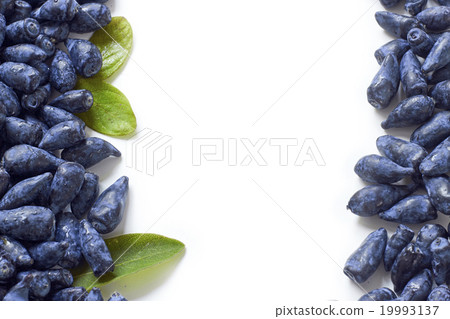 Honeysuckle blue berry fruits on white background 19993137
