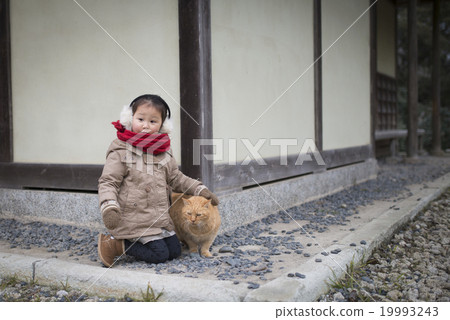 A girl playing with a cat 19993243