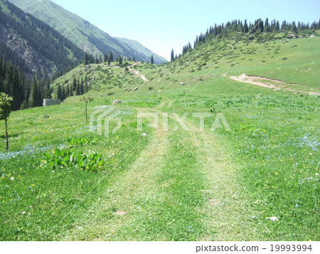 The landscape of Altin Alashan 19993994