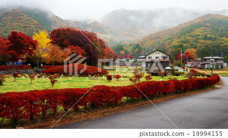 japanese village near maple corridor, Kawaguchiko 19994155