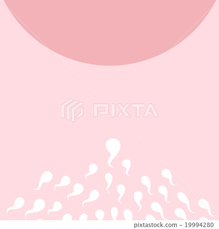 Pregnancy Concept 19994280