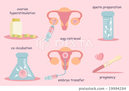 IVF concept 19994284