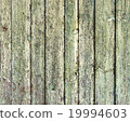 background, texture, wooden panel 19994603