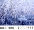 Icy ornate pattern of thin ice on the window 19994633
