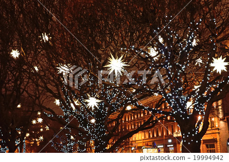 Decorated with lanterns and garlands on the trees Decorated with lanterns and garlands on the trees 19994942
