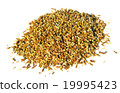 Flower of sunflowers 19995423