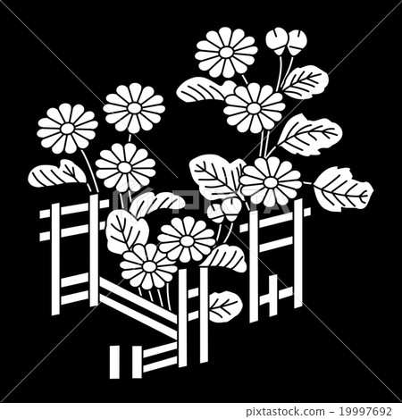 Himitsu Takeshige Shiki Chrysanthemum 19997692