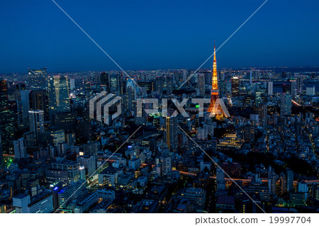 從東京六本木,東京鐵塔和東京市中心的夜景·夜景 從東京六本木,東京鐵塔和東京市中心的夜景·夜景 19997704