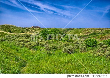 Background image of lush grass field under blue Background image of lush grass field under blue 19997954