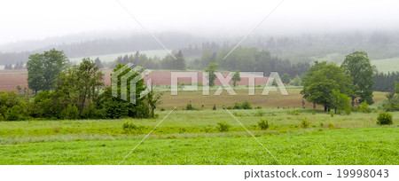 Rolling hills. Fields meadows under fog low cloud. 19998043