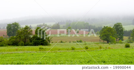 Rolling hills. Fields meadows under fog low cloud. 19998044