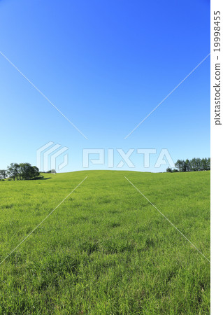 蓝天和大草原在7月北海道nishikidai地区的广阔的夏天风景 图库照片