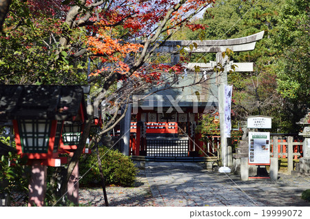 Car-folding shrine fall 19999072