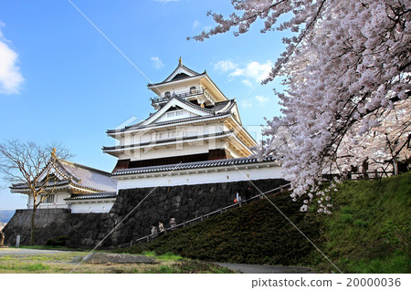 神山城和櫻花 20000036