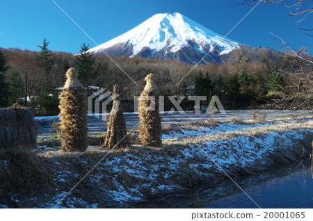 從忍野村看冬天的富士山 從忍野村看冬天的富士山 20001065