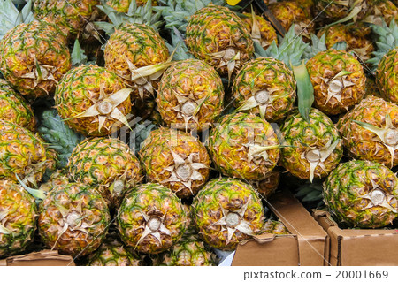 Fresh pineapples for sale in the market Fresh pineapples for sale in the market 20001669