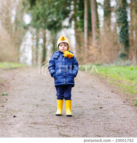 Cute little kid boy walking through autumn forest 20001782