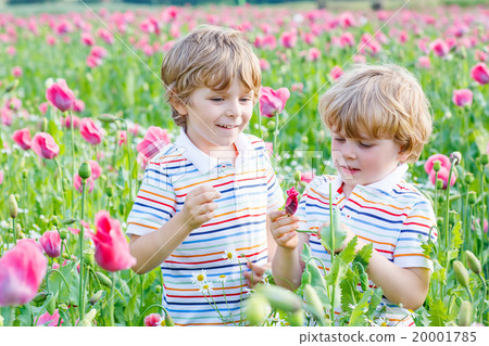 Two happy little blond children in blooming poppy Two happy little blond children in blooming poppy 20001785