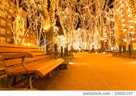 Pageant of light 20002197