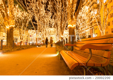 Pageant of light Pageant of light 20002200