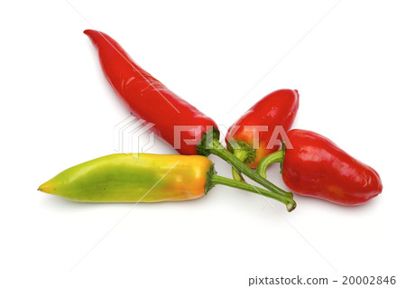 pepper on the white background 20002846