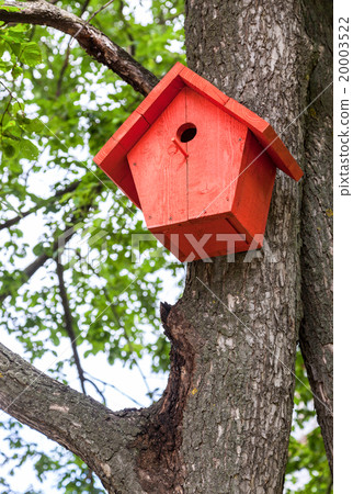 Red birdhouse hanging from a tree Red birdhouse hanging from a tree 20003522