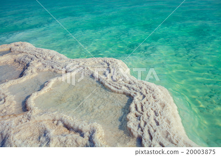 Texture of Dead sea. Salt sea shore 20003875