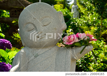 Kanonji的繡球花和Jizo先生 20004165