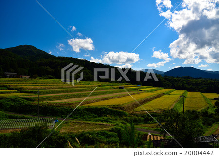 稻田和Okuyun Ohara Shinda藍天 20004442