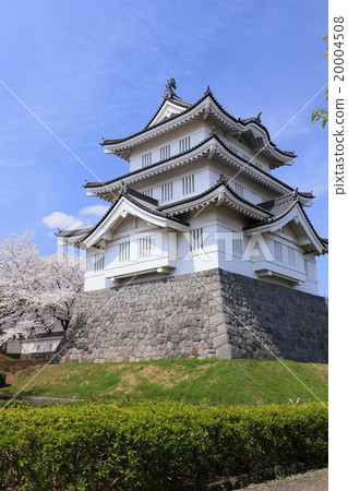Cherry blossoming castle 20004508