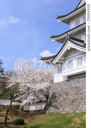 櫻花盛開的城堡 20004509