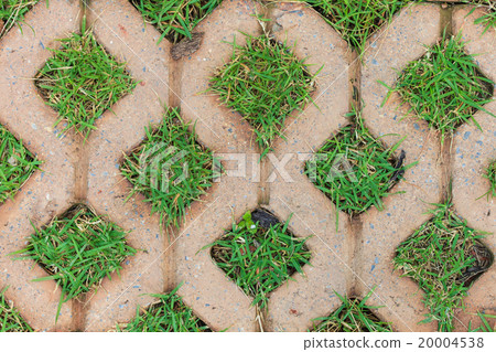 Brick floors with grass background 20004538