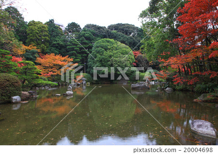 泉水的秋天 20004698